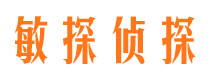 宝塔市调查公司